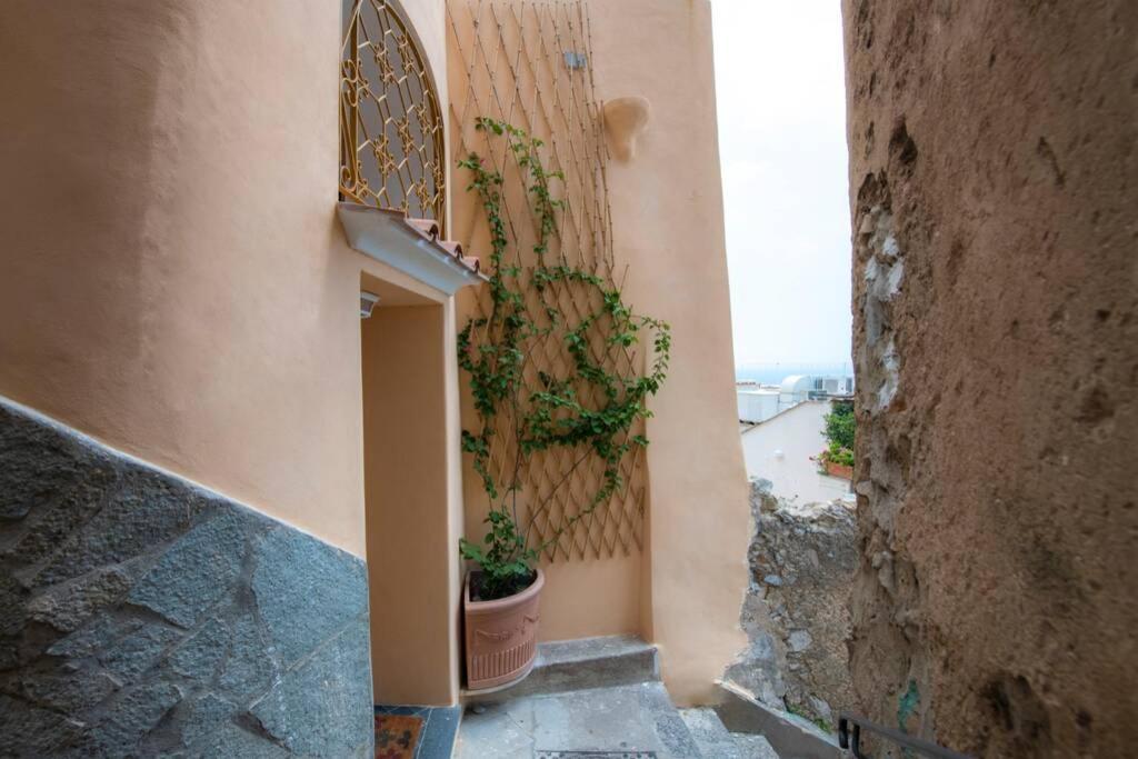 Villa Il Giardino Dei Limoni Positano Exterior foto